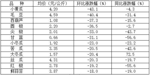山东寿光小瓜今日价格表,今日行情一览