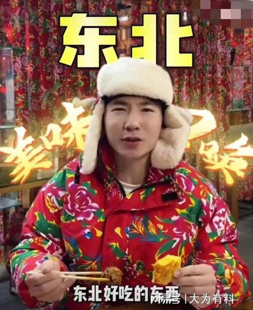东北明星网红宣传家乡,共筑地域文化新名片