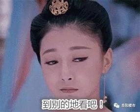 阜阳的明星网红是谁