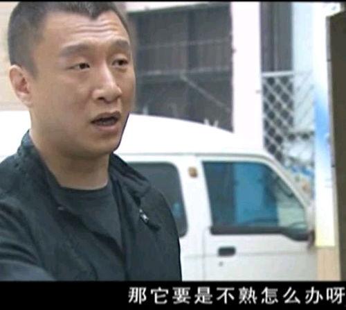 今日头条老板卖瓜是谁,揭秘张一鸣的跨界营销奇招