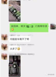 今日头条老板卖瓜是谁,揭秘张一鸣的跨界营销奇招