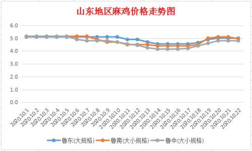 山东今日茭瓜价格行情查询,实时市场动态一览
