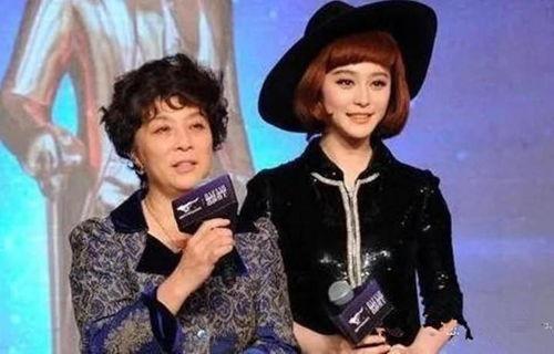 明星网红事迹介绍怎么写,闪耀背后的故事与启示