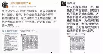 明星网红为啥要交税费,网红明星税费缴纳背后的经济逻辑与法律规范