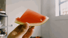 今日立秋来吃瓜,清凉一夏尽享丰收滋味