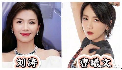 明星网红差距对比图高清,高清对比图揭示娱乐圈真实面貌