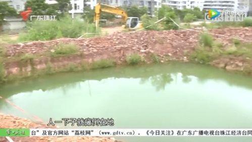 今日关注园洲土瓜圩违建,园洲土瓜圩违建整治行动全面展开