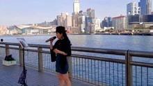 翻唱西海情歌的明星网红,西海情歌新声再起