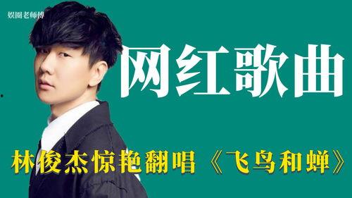 明星网红改编歌曲大全,明星网红改编歌曲大盘点