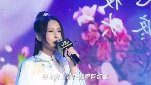 明星网红改编歌曲大全,明星网红改编歌曲大盘点