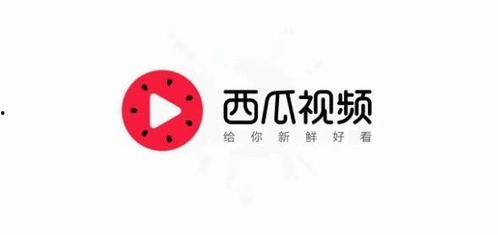 今日头条新瓜,揭秘娱乐圈最新热点事件