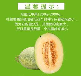 今日网纹瓜批发价格,市场行情一览