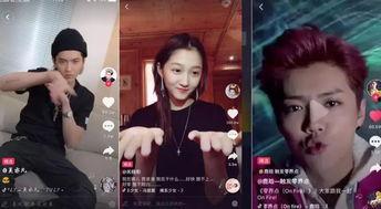 明星网红那些破事视频,那些破事视频全解析