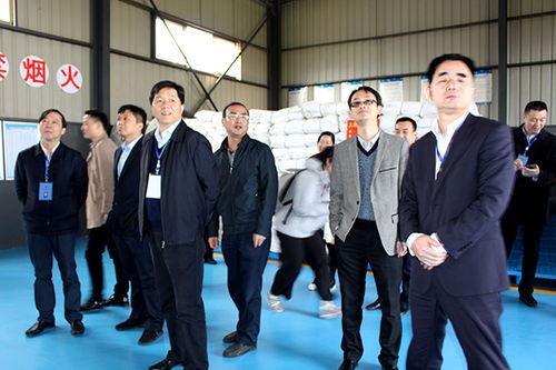 长沙明星网红小道消息,揭秘明星幕后故事与热门话题