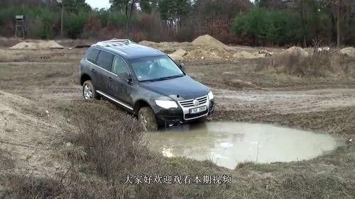 明星网红开牧马人,明星网红的田园梦想之旅