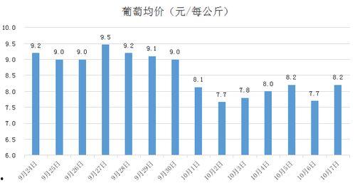今日哈密瓜走势,今日走势分析