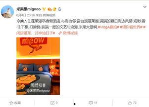 哪些明星网红为衡阳打卡,明星效应下的城市魅力新篇章