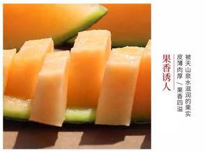 火焰山哈密瓜今日价格表,品质之选，价格亲民