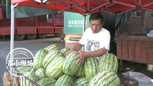 今日吃瓜价格表,吃瓜群众必看价格大盘点