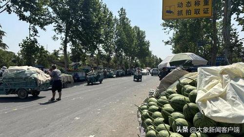 小吊瓜西瓜今日行情,价格波动与市场动态一览”