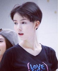 女变男的有哪些明星网红,盘点那些女变男的明星网红