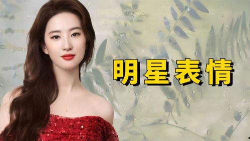 刘姓明星网红有哪些,网络红人中的璀璨星辰