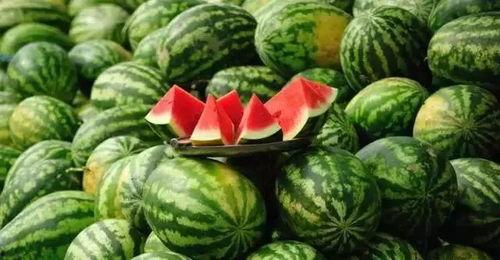 丽水今日热瓜事件视频,视频揭秘背后真相