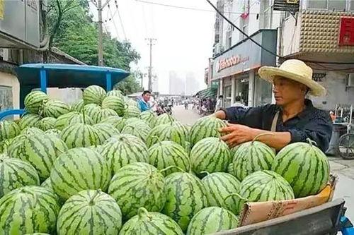 今日武汉白瓜价格多少,实惠之选，市民抢购热潮