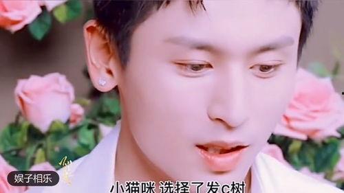 明星网红淋雨视频素材高清,高清画面直击感人瞬间