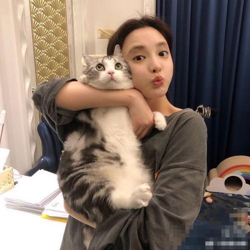 明星网红同台差距头小,揭秘头小背后的秘密