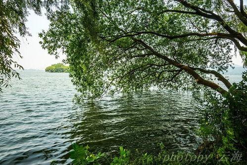 逆水寒西子湖畔今日瓜,西子湖畔今日瓜，揭秘游戏内幕与玩家热议