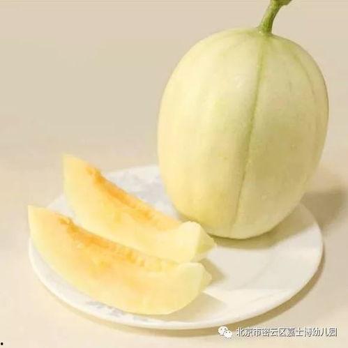今日加餐桃酥哈密瓜,今日加餐的甜蜜邂逅