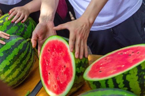 运城今日吃瓜事件视频最新,一场网络热议背后的真相揭秘