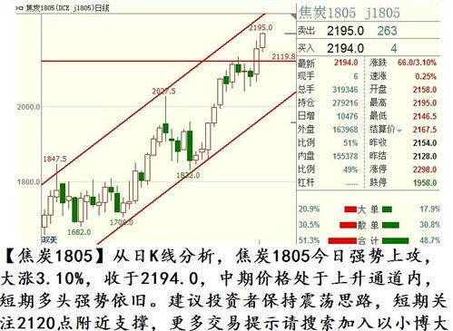 小瓜今日行情走势分析图,今日波动解析