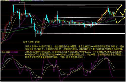 小瓜今日行情走势分析图,今日波动解析