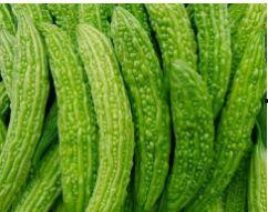 万邦牛腿瓜今日价格