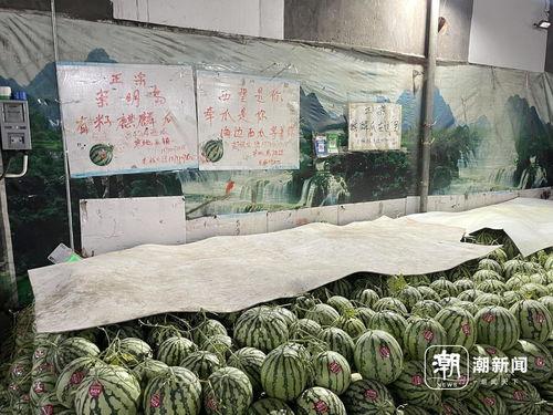 上海麒麟瓜今日价格,价格行情一览