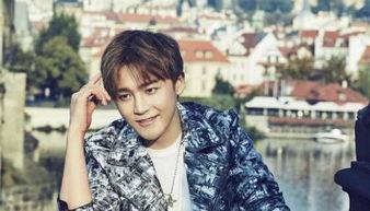 明星网红驰援大庆是谁,共筑爱心援疆之旅