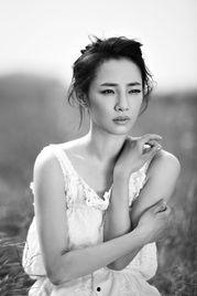 陕西有哪些明星网红的,璀璨星光下的陕西风采