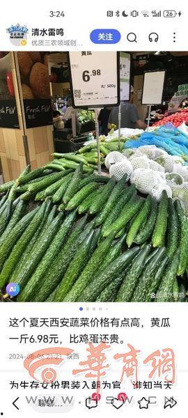 今日黄白瓜价格最新行情,涨跌互现，市场动态解析