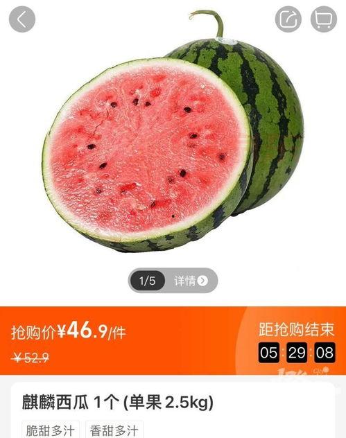 山东今日小瓜价格查询最新,最新行情一览