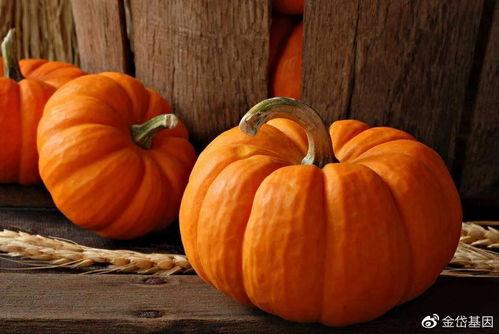 今日晴宜吃瓜壁纸,今日宜吃瓜壁纸赏析