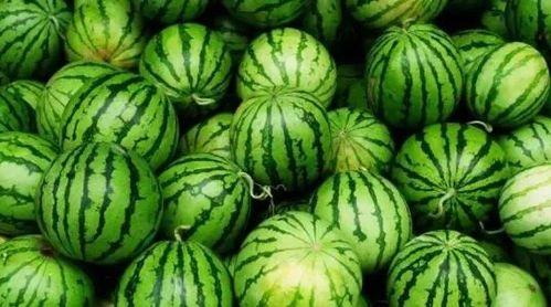 今日又有什么大瓜,重磅爆料接连不断，明星隐私再掀波澜