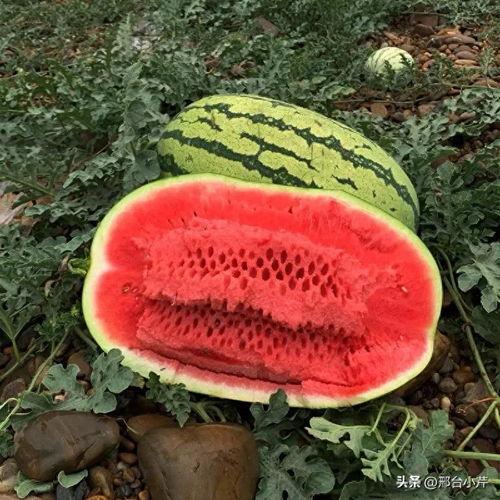 今日又有什么大瓜,重磅爆料接连不断，明星隐私再掀波澜