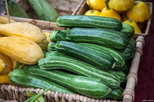 山东今日菜价哈密瓜,哈密瓜飘香，价格亲民引市民争相购买