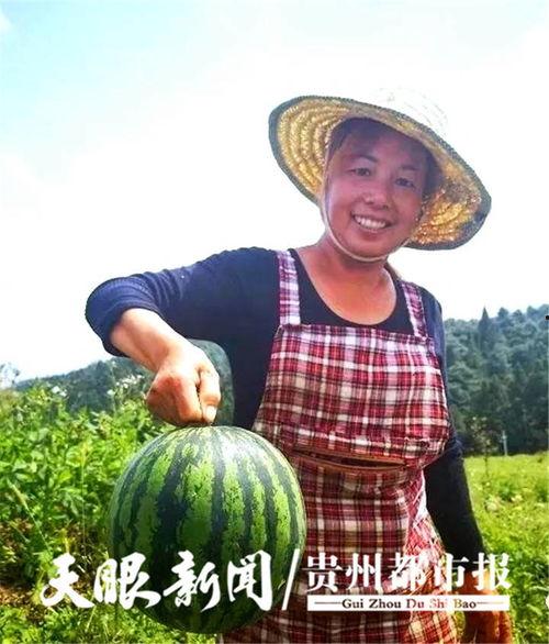 今日贵阳吃瓜,揭秘今日美食风云