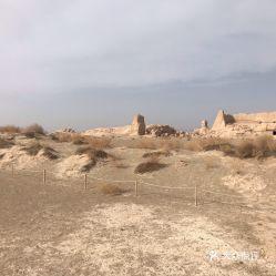 瓜州县今日猪价行情,涨跌互现，养殖户需关注市场动态