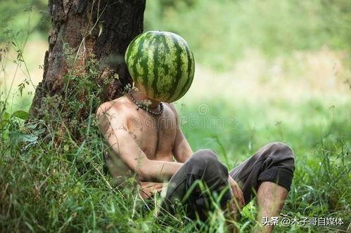 今日拉瓜价格,今日市场行情一览”