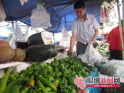 云南角瓜价格今日行情,波动中寻求平衡