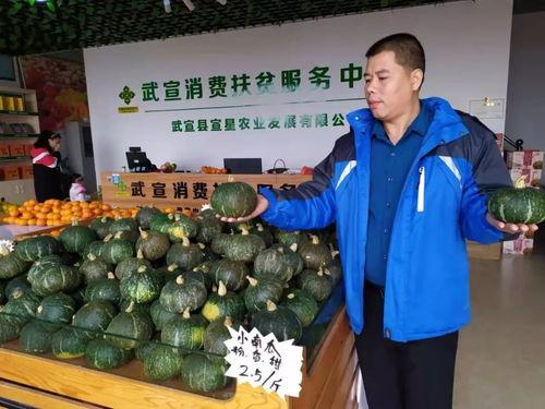 今日贝贝瓜多少钱一公斤,一公斤多少钱？